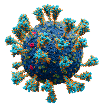 Coronavirus SARS Co V 2